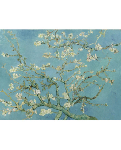 Vincent van Gogh, Branches d'amandier en fleurs Vincent van Gogh, Branches d'amandier en fleurs