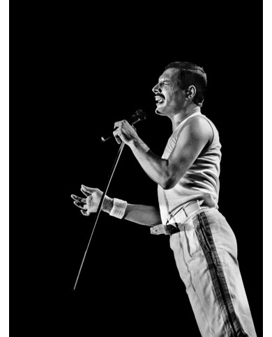 Freddie Mercuri Freddie Mercuri