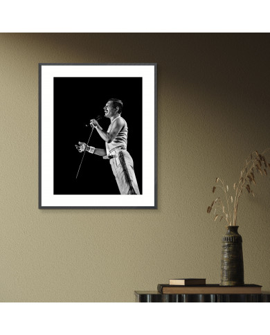 Freddie Mercuri Freddie Mercuri