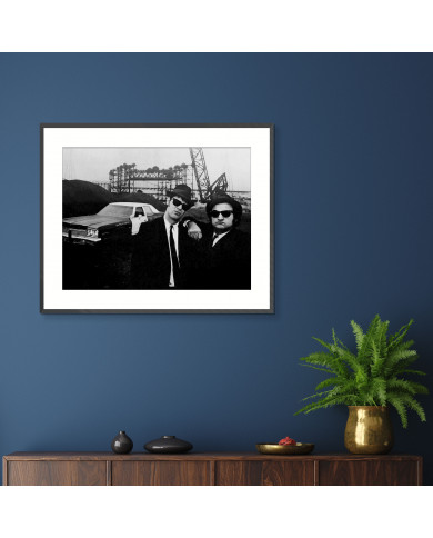 The blues brothers The blues brothers