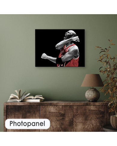 Michael Jordan Michael Jordan