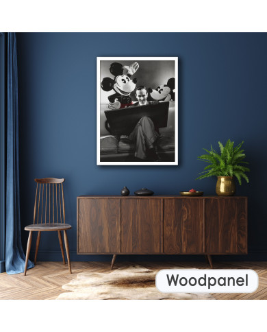 Walt Disney Walt Disney