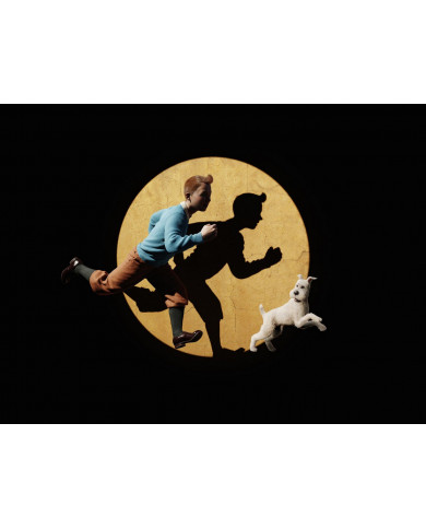 Tintin Tintin