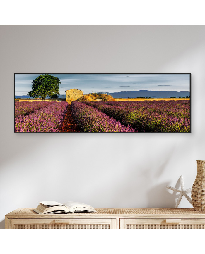 La Provenza, Francia