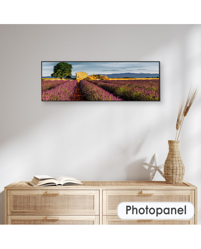 La Provenza, Francia