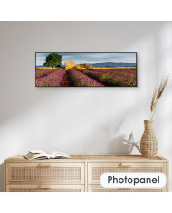 La Provenza, Francia