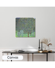 Gustav Klimt, Rosiers sous les arbres, 1905