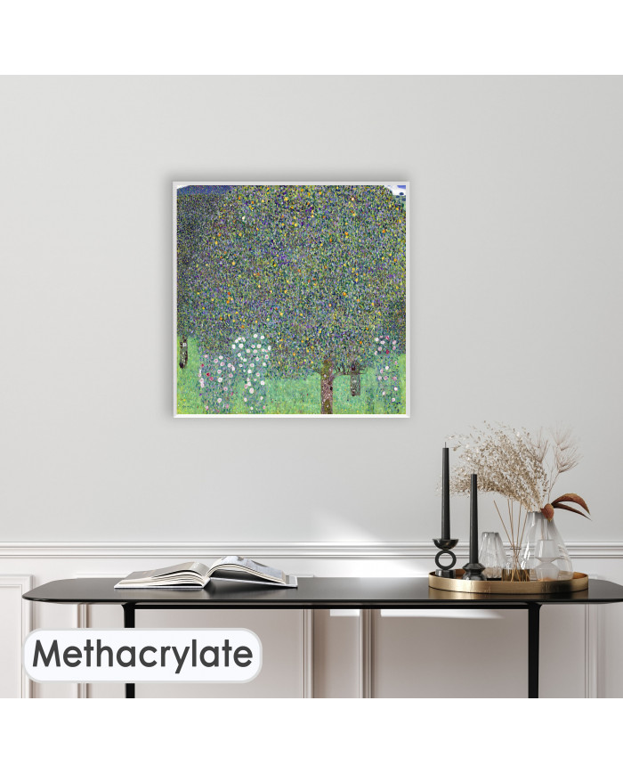 Gustav Klimt, Rosiers sous les arbres, 1905