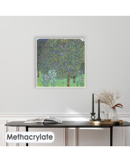 Gustav Klimt, Rosiers sous les arbres, 1905