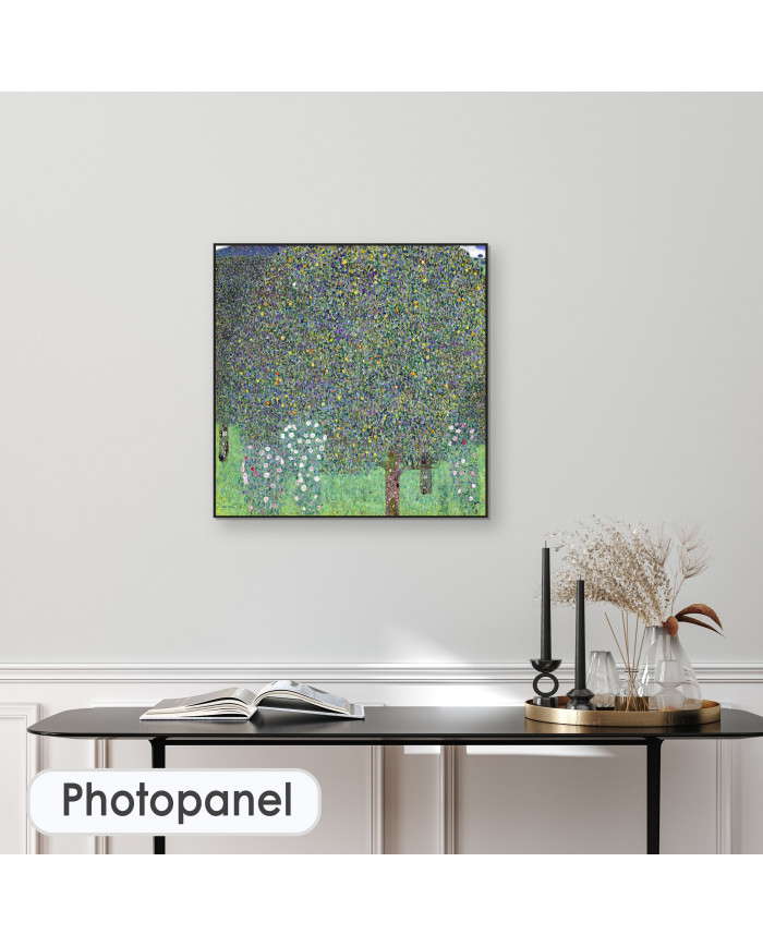 Gustav Klimt, Rosiers sous les arbres, 1905