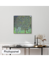 Gustav Klimt, Rosiers sous les arbres, 1905