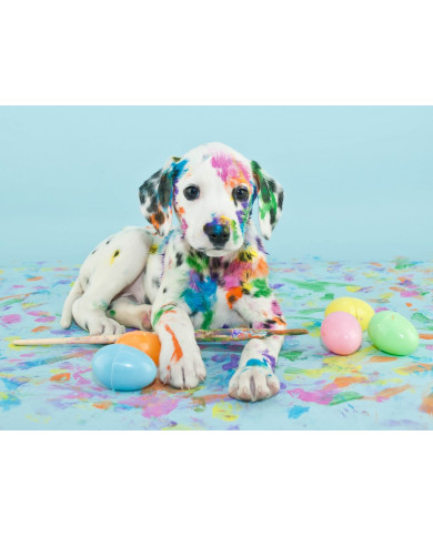 Cachorro de perro dálmata tras jugar con las pinturas Cachorro de perro dálmata tras jugar con las pinturas