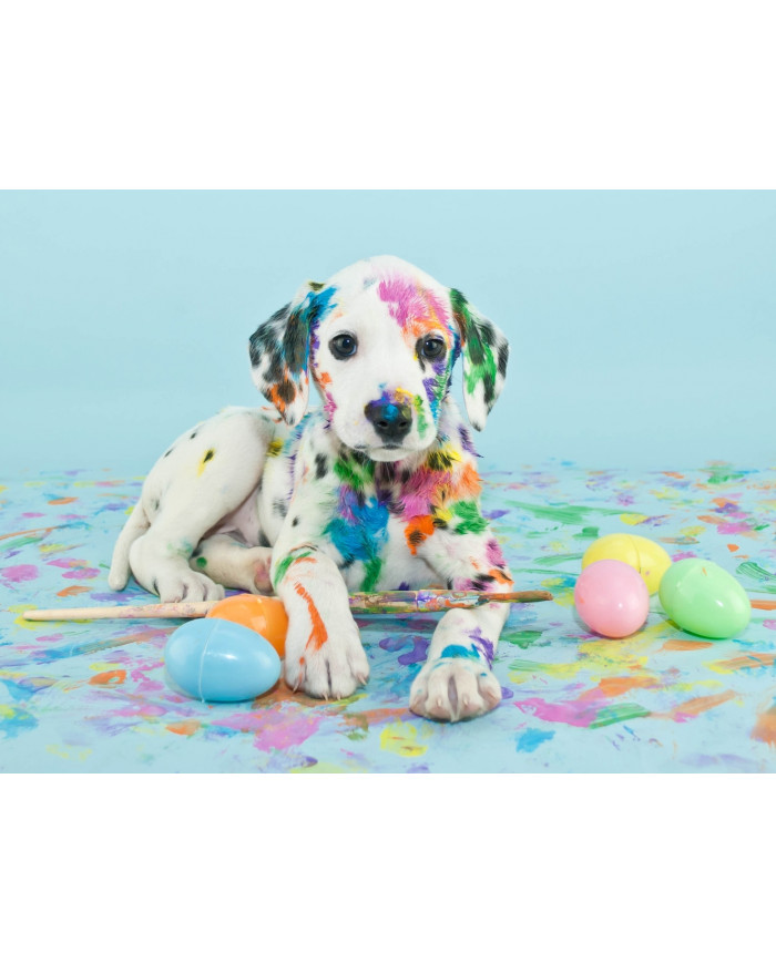 Cachorro de perro dálmata tras jugar con las pinturas