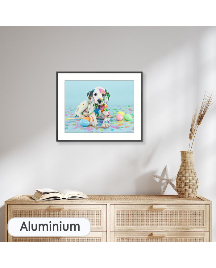 Cachorro de perro dálmata tras jugar con las pinturas