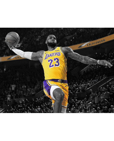 Lebron James Lebron James