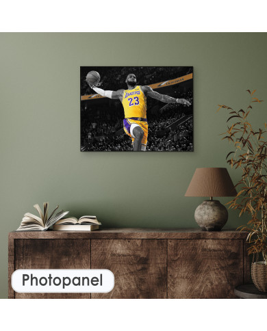 Lebron James Lebron James