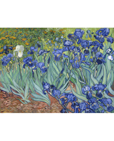 Vincent van Gogh, Iris, 1889 Vincent van Gogh, Iris, 1889