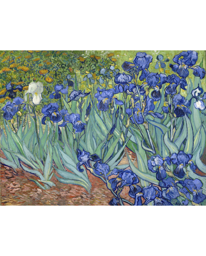 Vincent van Gogh, Iris, 1889