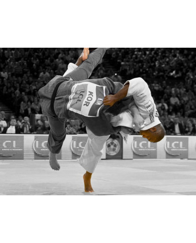 Teddy Riner, Ippon del 10 veces campeón del mundo de Judo Teddy Riner, Ippon del 10 veces campeón del mundo de Judo