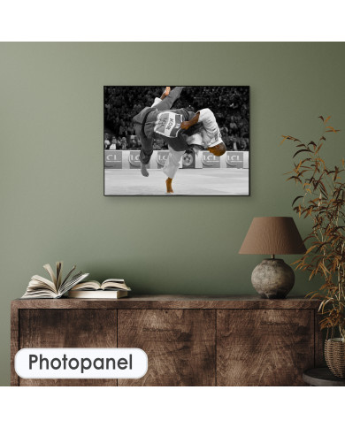 Teddy Riner, Ippon del 10 veces campeón del mundo de Judo Teddy Riner, Ippon del 10 veces campeón del mundo de Judo