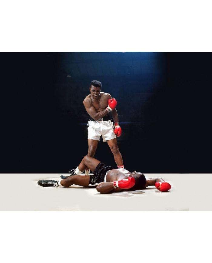 Muhammad Ali contra Sonny Liston 2, 1965
