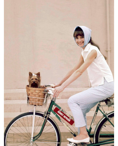 Audrey Hepburn Audrey Hepburn