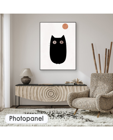 The Cat The Cat
