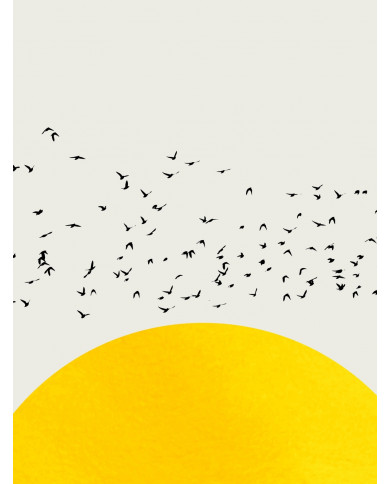 A Thousand Birds A Thousand Birds