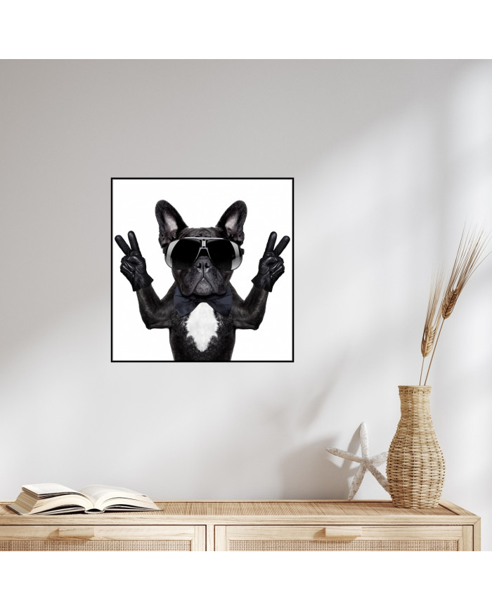 Victoria del buldog francés