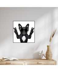 Victoria del buldog francés