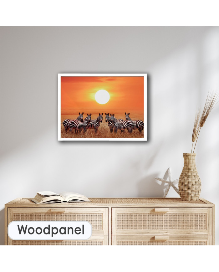 Zebras en el Parque Nacional de Serengueti, Tanzania