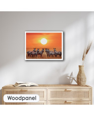 Zebras en el Parque Nacional de Serengueti, Tanzania