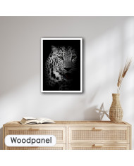 Retrato de un leopardo, Parque Nacional Kruger, SudÁfrica