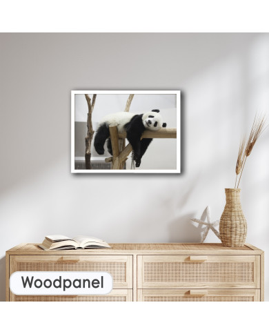 Oso panda Oso panda