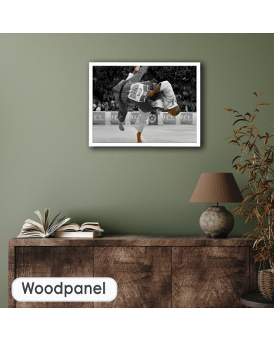 Teddy Riner, Ippon del 10 veces campeón del mundo de Judo Teddy Riner, Ippon del 10 veces campeón del mundo de Judo