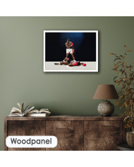 Muhammad Ali contra Sonny Liston 2, 1965