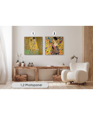 Gustav Klimt collection