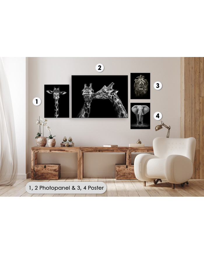 Wild animals collection II