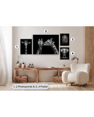 Wild animals collection II