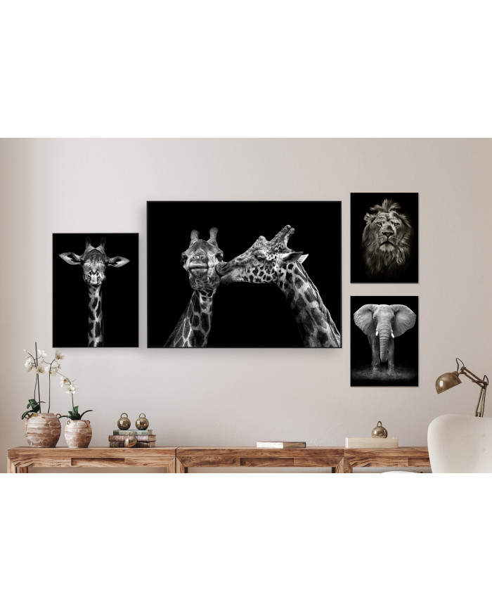 Wild animals collection II