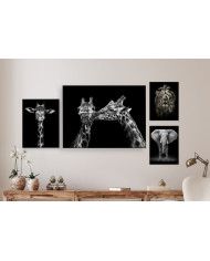 Summer collection II