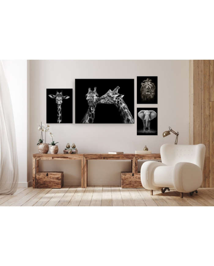 Wild animals collection II