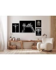 Wild animals collection II