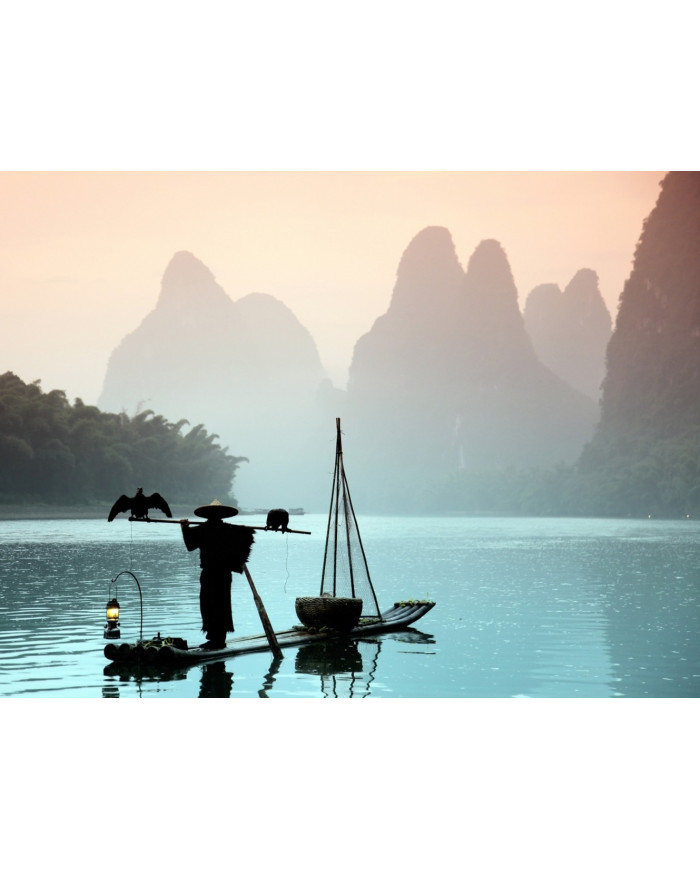 Pescador chino con un cormorán, China