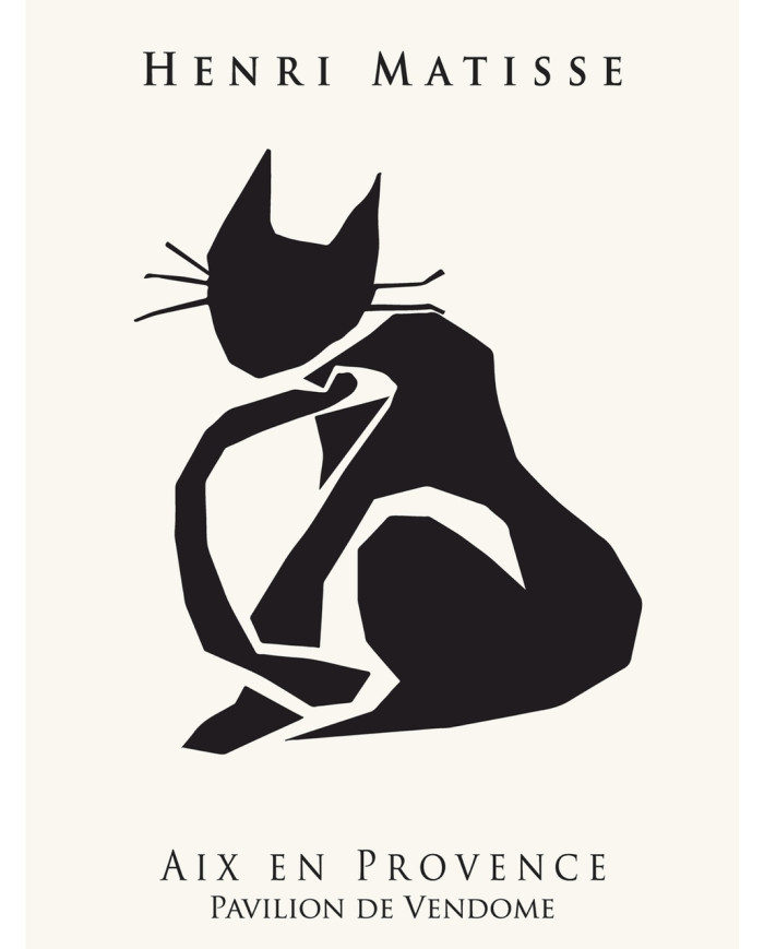 Matisse inspired collection