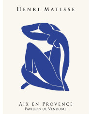 Matisse inspired collection