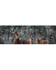 Retrato de una jirafa, Nairobi, Kenia