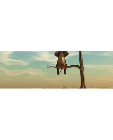 Elefante meditando en un paisaje surrealista Elefante meditando en un paisaje surrealista
