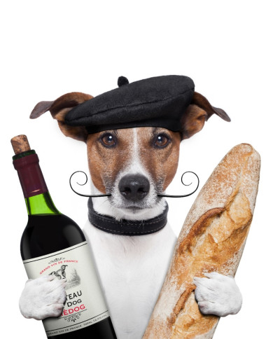 Perro afrancesado Perro afrancesado
