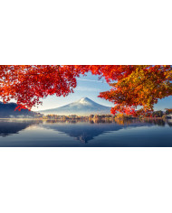 Brooklyn bridge and New York City Manhattan downtown skyline